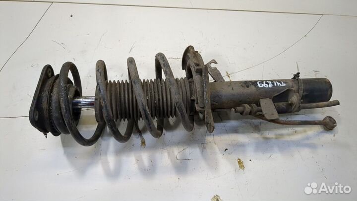 Амортизатор подвески Ford Focus 3, 2017