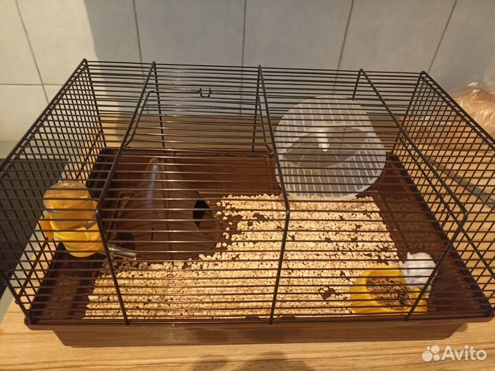 Джунгарский хомяк с клеткой