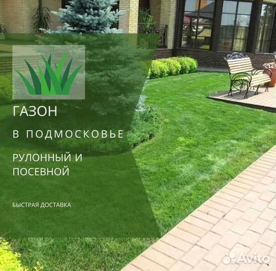 Рулонный газон, посевной газон