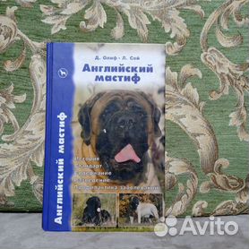 Как выбрать щенка породы тибетский мастиф в питомнике: выбор и покупка собаки - Лавка Питомца