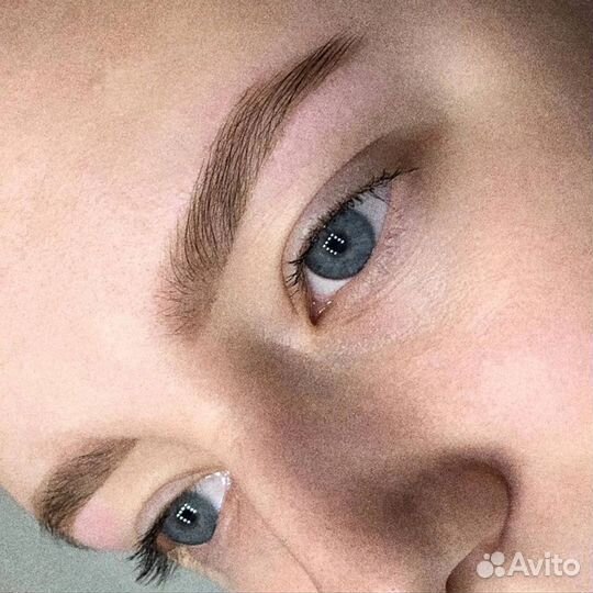 Мастер бровист