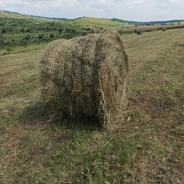 Сено в рулонах
