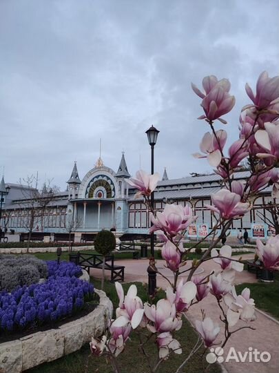 Железноводск Топ-Экскурсия Созвездие городов кмв: