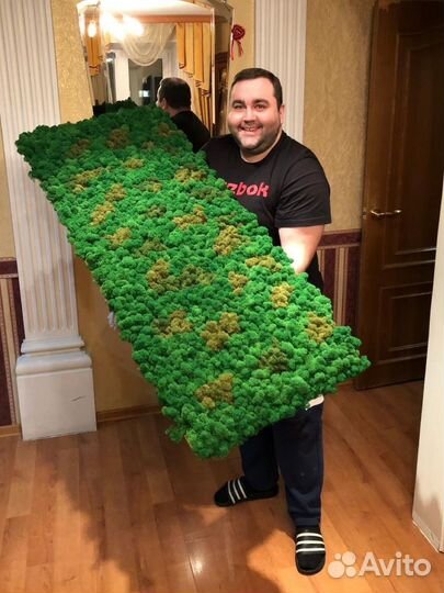 Стабилизированный мох ягель, опт и розница