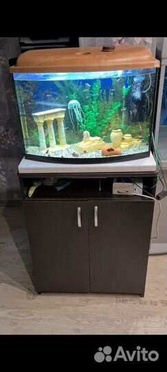 Аквариум с тумбой и оборудованием