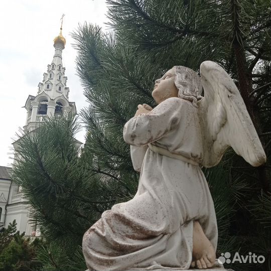 Экскурсия г.Багратионовск