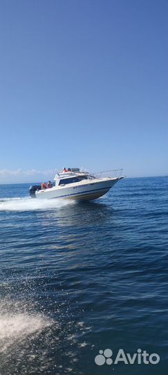 Продам Байлайнер 2556