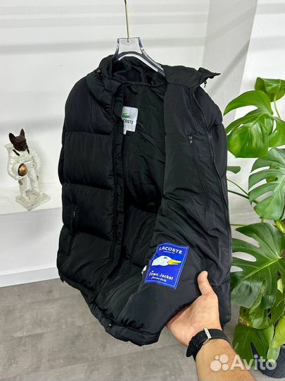 Пуховик Lacoste Back Logo Jacket