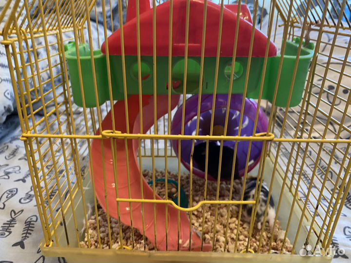Клетки для хомячков большой выбо
