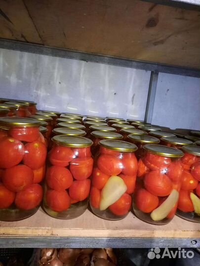 Соленья домашние