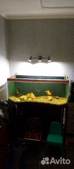 Аквариум