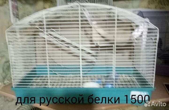 Клетка,переноска,поилки,шар прогулочный