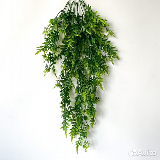 Ампельное растение, искусственная зелень, Папоротн