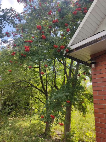 Дом 80 м² на участке 20 сот.