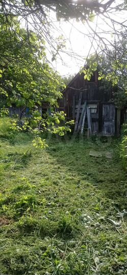 Дом 50 м² на участке 14 сот.