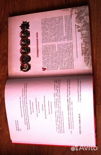 Книга Липецкий Комсомол Липецк 2018 Тираж 1000 шт