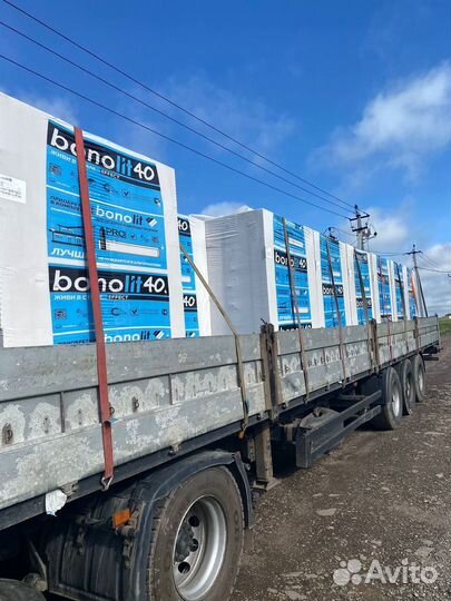 Газоблок 250