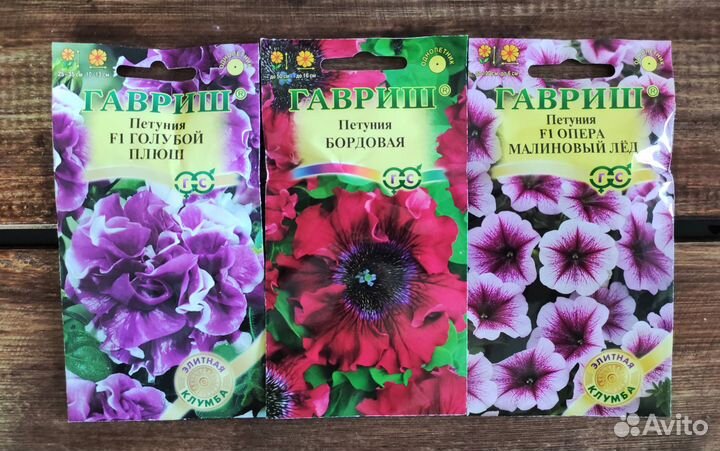 Семена Петунии