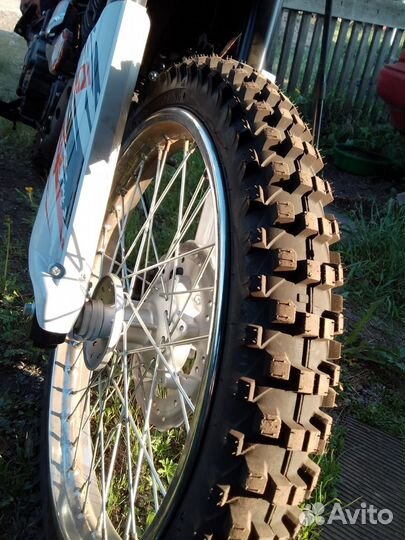 Рейсер пантера 300