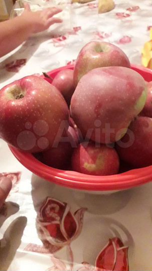 Участок 3 га (СНТ, ДНП)