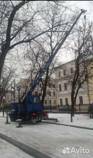 Аренда и услуги автокрана, 5 т, 18 м, с гуськом 6 м