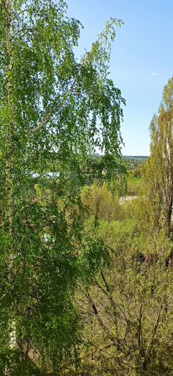 3-к. квартира, 64 м², 6/9 эт.