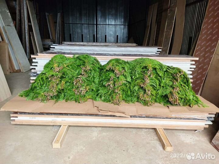 Лапник пихтовый очень пышные