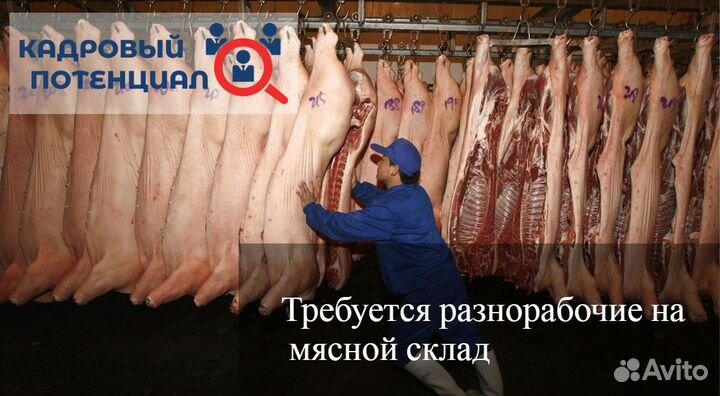 Работа. Грузчик на мясной склад. Вакансия