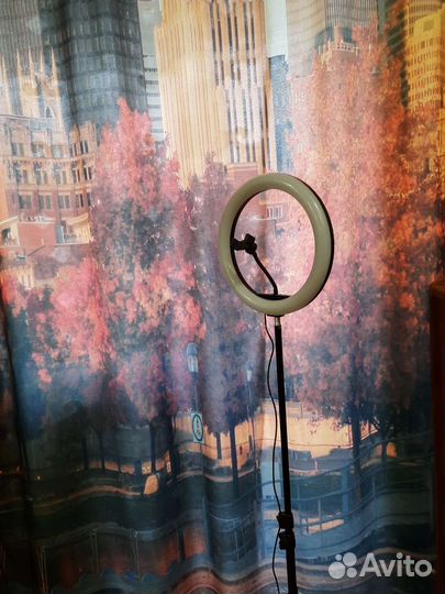 Кольцевая лампа со штативом 20см
