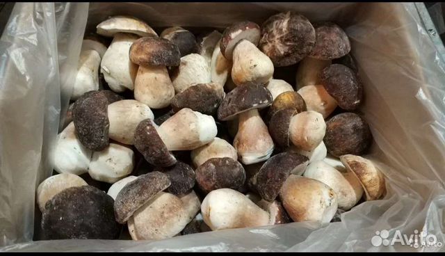 Грибы белые замороженные