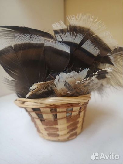 Индюшиные перья