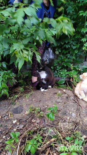 Все мальчики