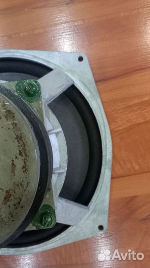 Динамик 70 гдн