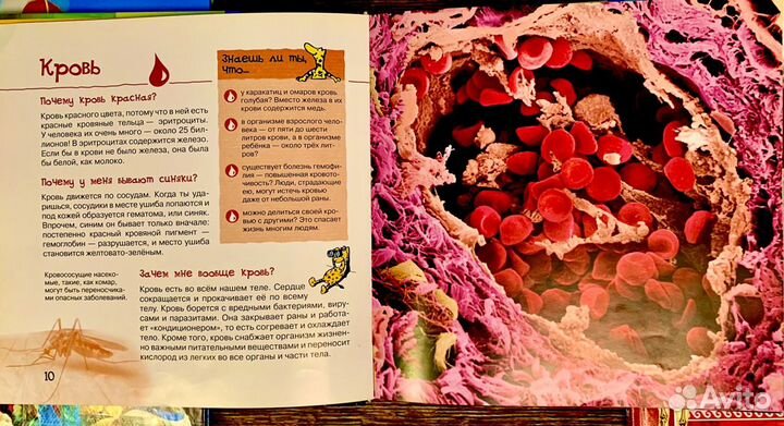Книги познавательные для детей