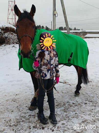 Сапоги детские для верховой езды 37р