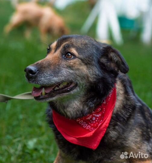 Милая Маруся