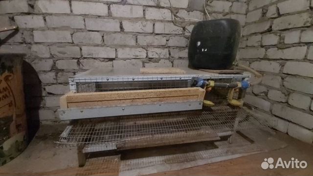 Клетки для перепелов бу