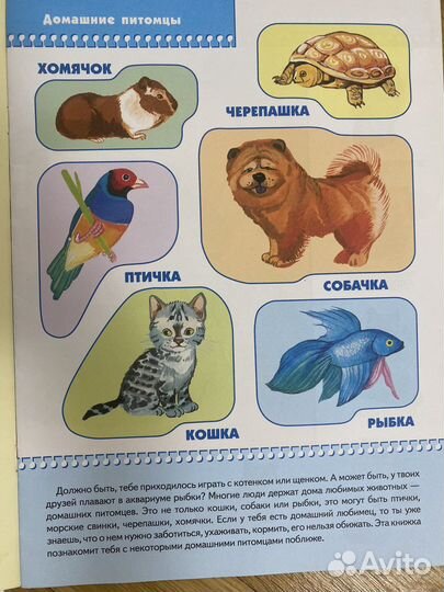 Развивающие книги для детей 2-3 года