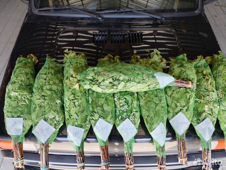 Веники для бани берёзовые, дуб, липа