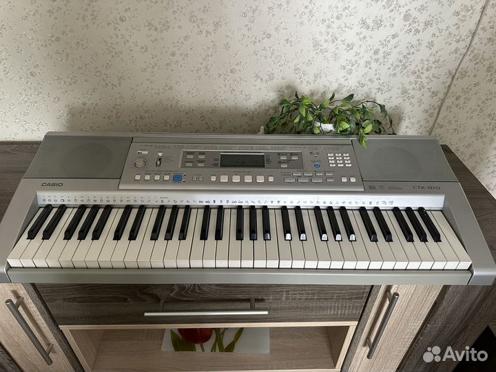 Синтезатор casio ctk-810