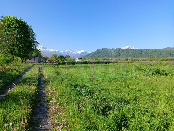 Участок 10 га (СНТ, ДНП)