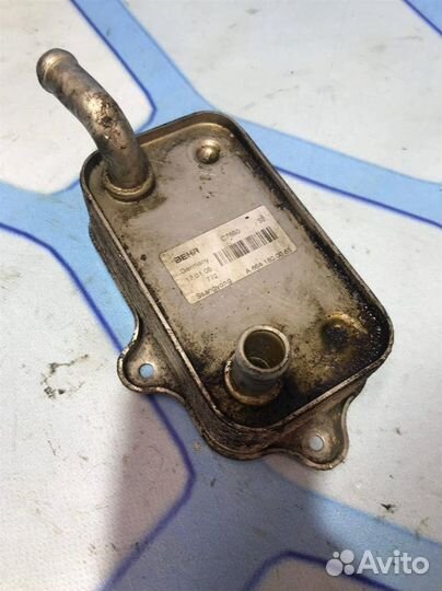 Радиатор масляный A6641800065