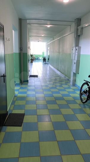 1-к. квартира, 55,6 м², 1/4 эт.