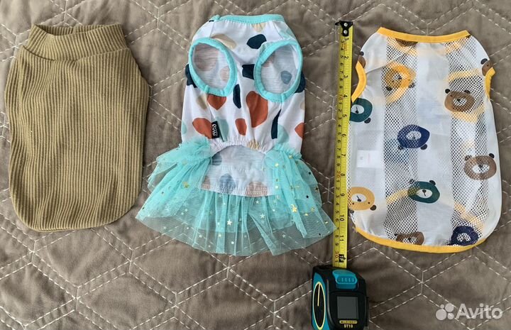 Одежда для собак