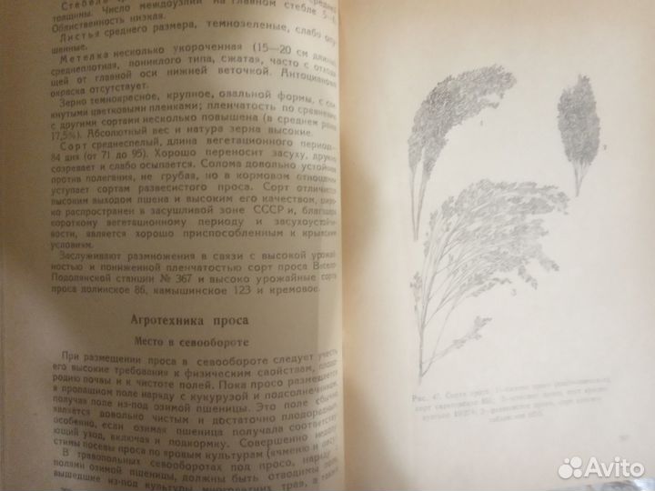 Полевые культуры Крыма Богдан П. 1949 г