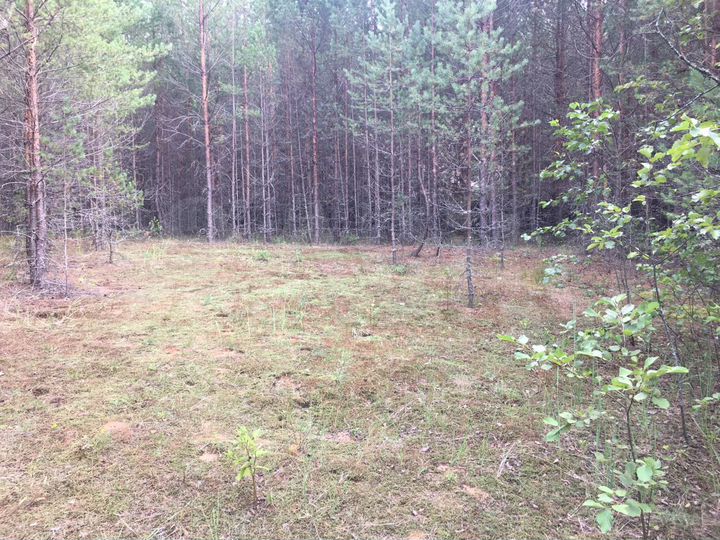 Участок 25 сот. (ИЖС)