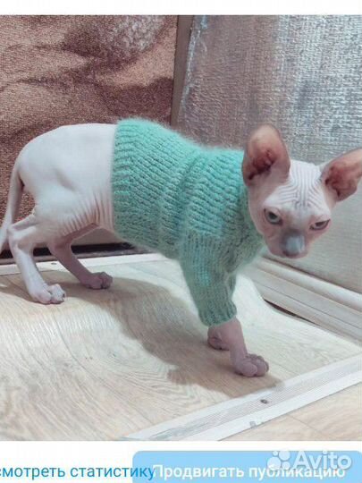 Одежда для собак