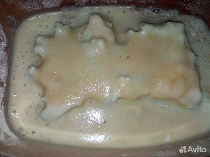 Аквариумные растения, мох, улитки, живой корм