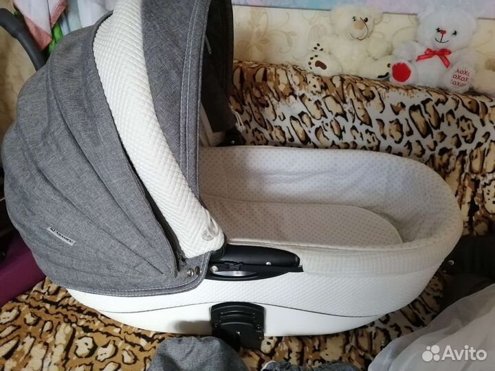 Коляска 2 в 1 adamex