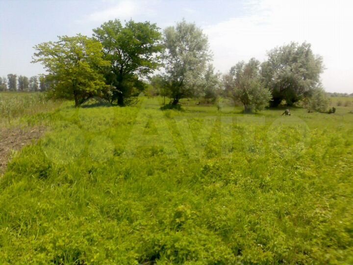 Участок 9,5 сот. (СНТ, ДНП)